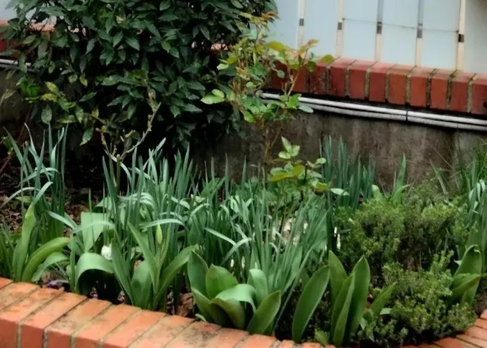 De France - Le Coin Tranquille